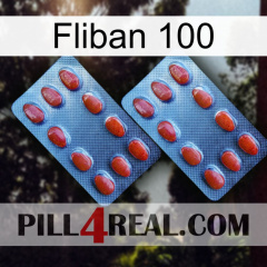 Fliban 100 05